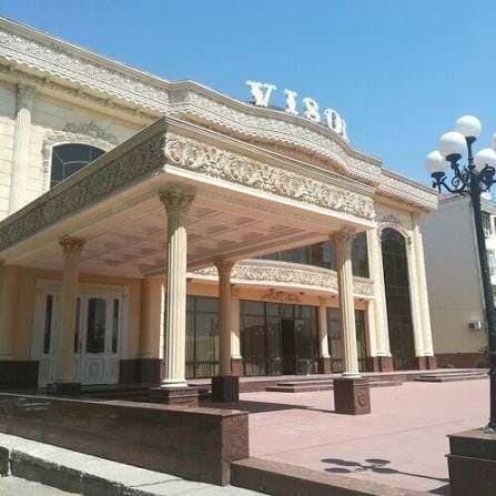 Visol