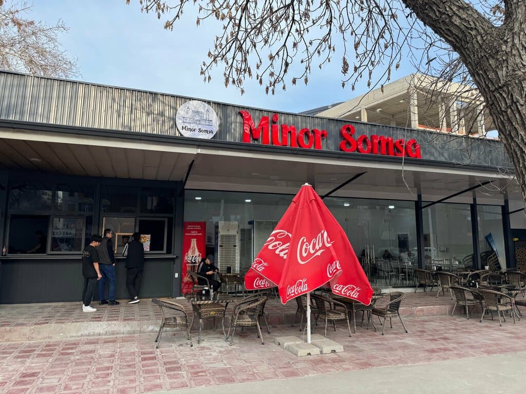 Минор самса