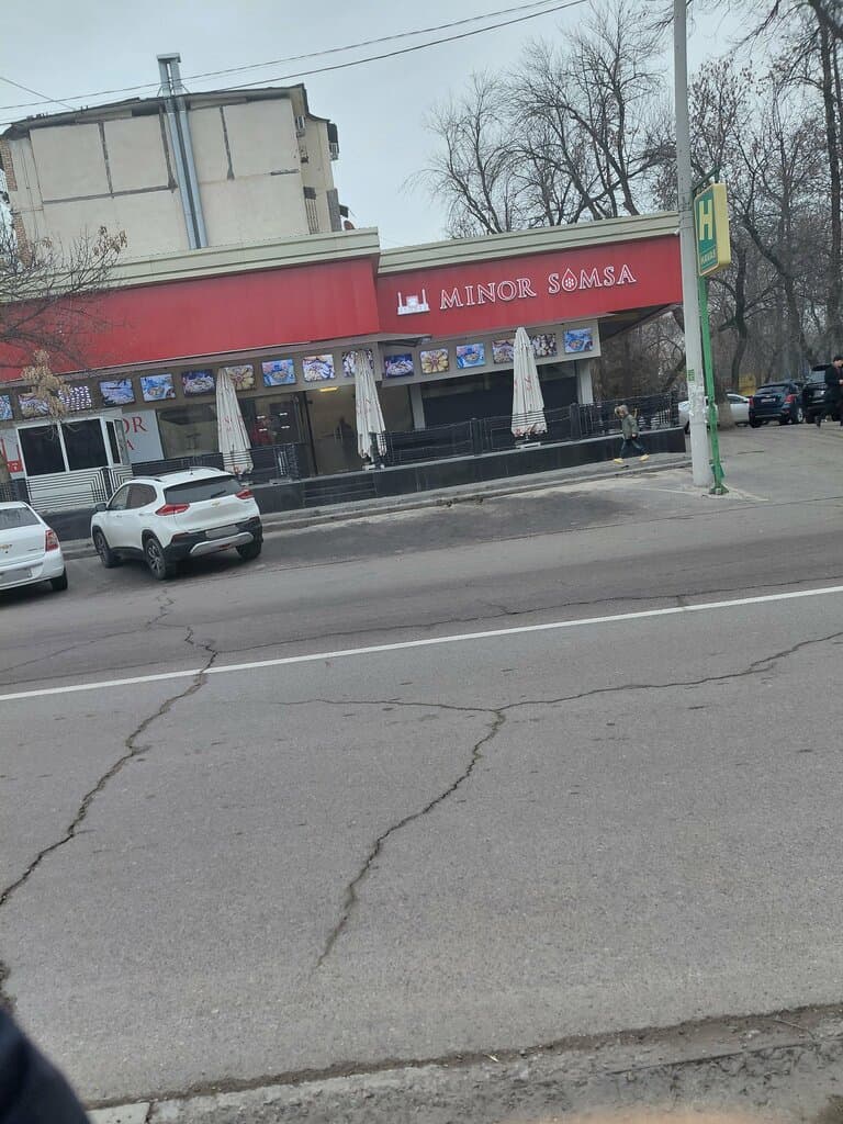 Минор сомса